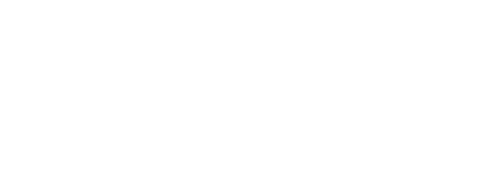 logoBarge_blanc_transparent